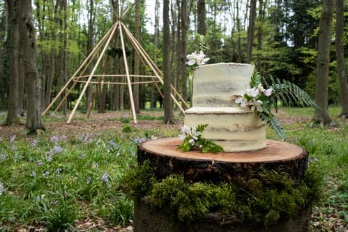Zweistöckige, cremefarbene Hochzeitstorte mit Blumen steht auf einer Holzscheibe im Wald; im Hintergrund ein Holzgestell.