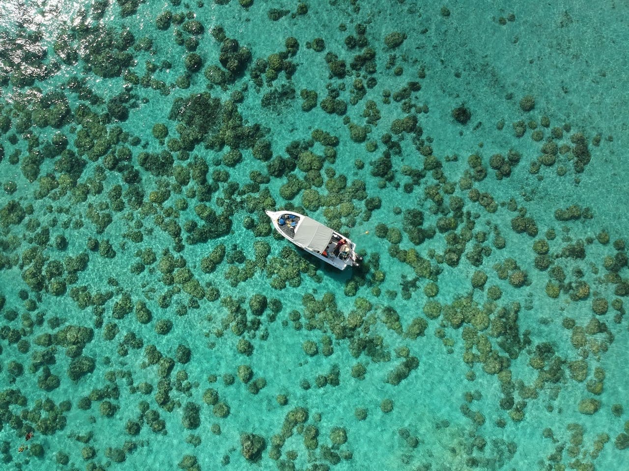 Flitterwochen Mauritius