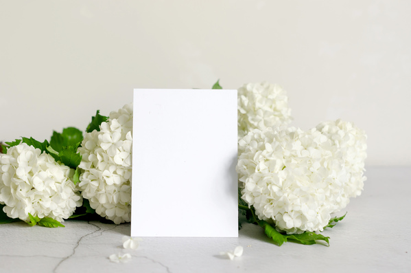 Dankeskarten Hochzeit: Der ultimative Guide für unvergessliche und persönliche Worte Unterhaltung Hochzeit, Hochzeitsblog Blanko-Karte zwischen weissen Hortensien