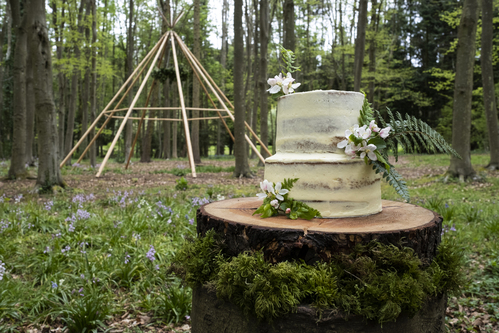 Hölzerne Hochzeit: Der grosse Guide zum Jubiläum aus Holz Hochzeitsjubiläen, Hochzeitsblog Zweistöckige, cremefarbene Hochzeitstorte mit Blumen steht auf einer Holzscheibe im Wald; im Hintergrund ein Holzgestell.
