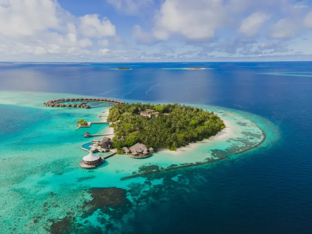Flitterwochen Malediven: Die besten Hotels, Aktivitäten & Reiseroute (Honeymoon Guide) Flitterwochen Baros Maldives (Nord‑Malé)